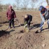 Всероссийская акция \"Сад Памяти\"